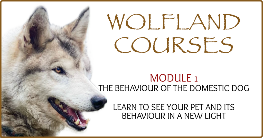 Wolfland Courses - Module 1